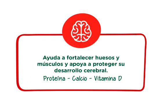 Motricidad