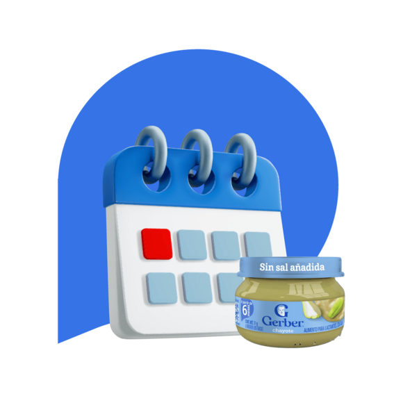 Gerber academy calendario