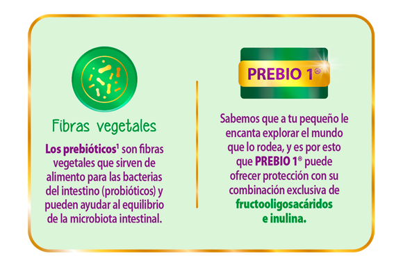 Fibras vegetales Fibras vegetales