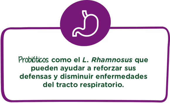 Probióticos como el L. Rhamnosus que pueden ayudar a reforzar sus defensas y disminuir enfermedades del tracto respiratorio Probióticos como el L. Rhamnosus que pueden ayudar a reforzar sus defensas y disminuir enfermedades del tracto respiratorio